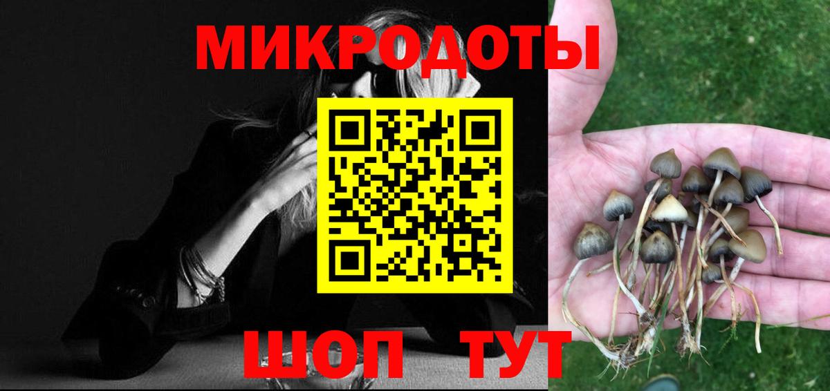 Галлюциногенные грибы Psilocybe  купить наркотик  Тосно  Вход с VPN 